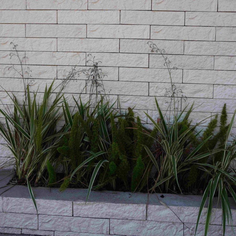 DSC00500 (1) (1) (1) (1)